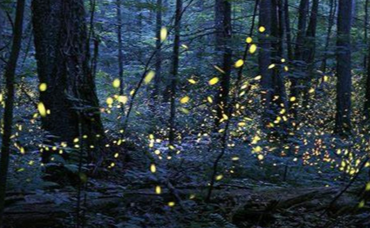 Screenshot at .. PM